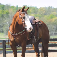 Weaver Turquoise Cross Aztec 5/8" Headstall