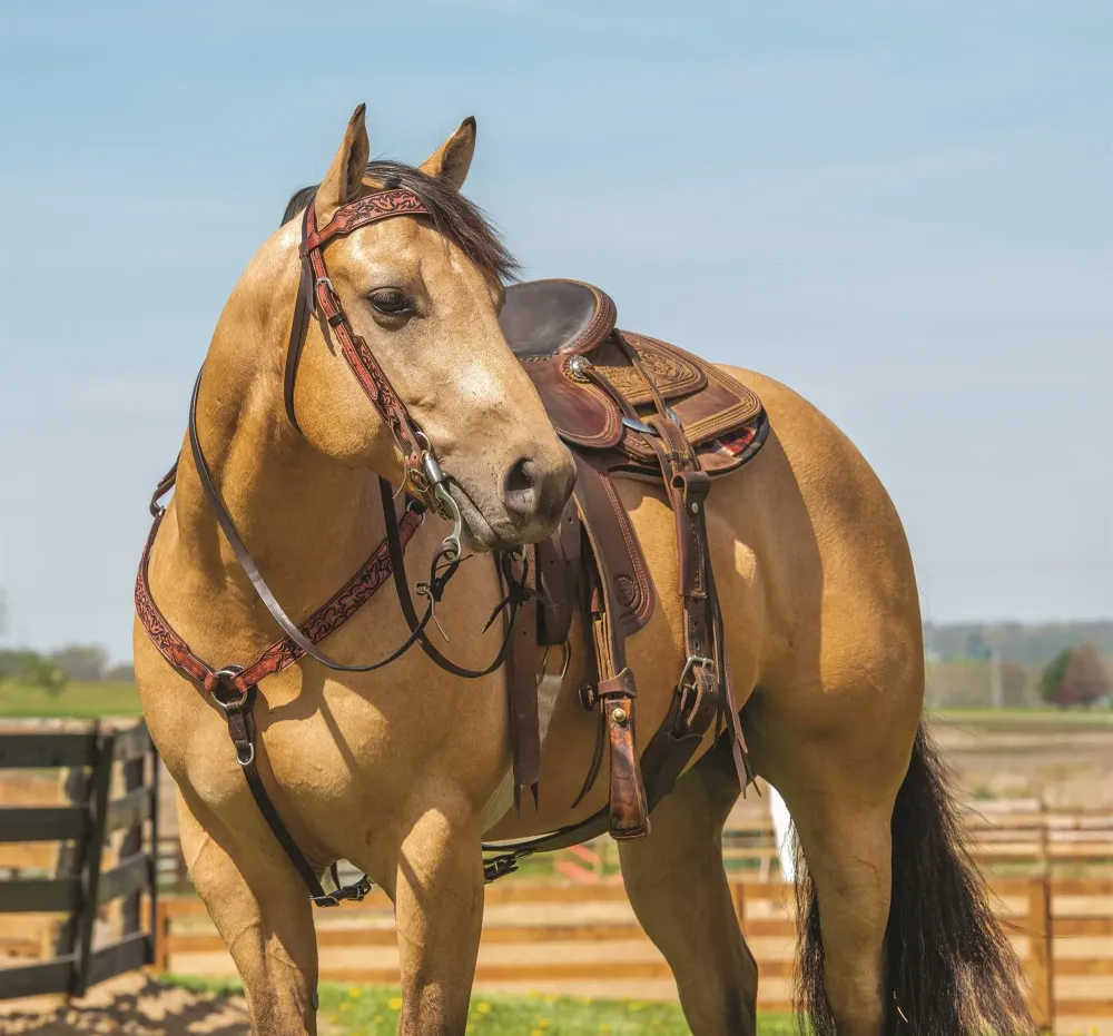 Weaver Turquoise Cross Pioneer Straight Breast Collar