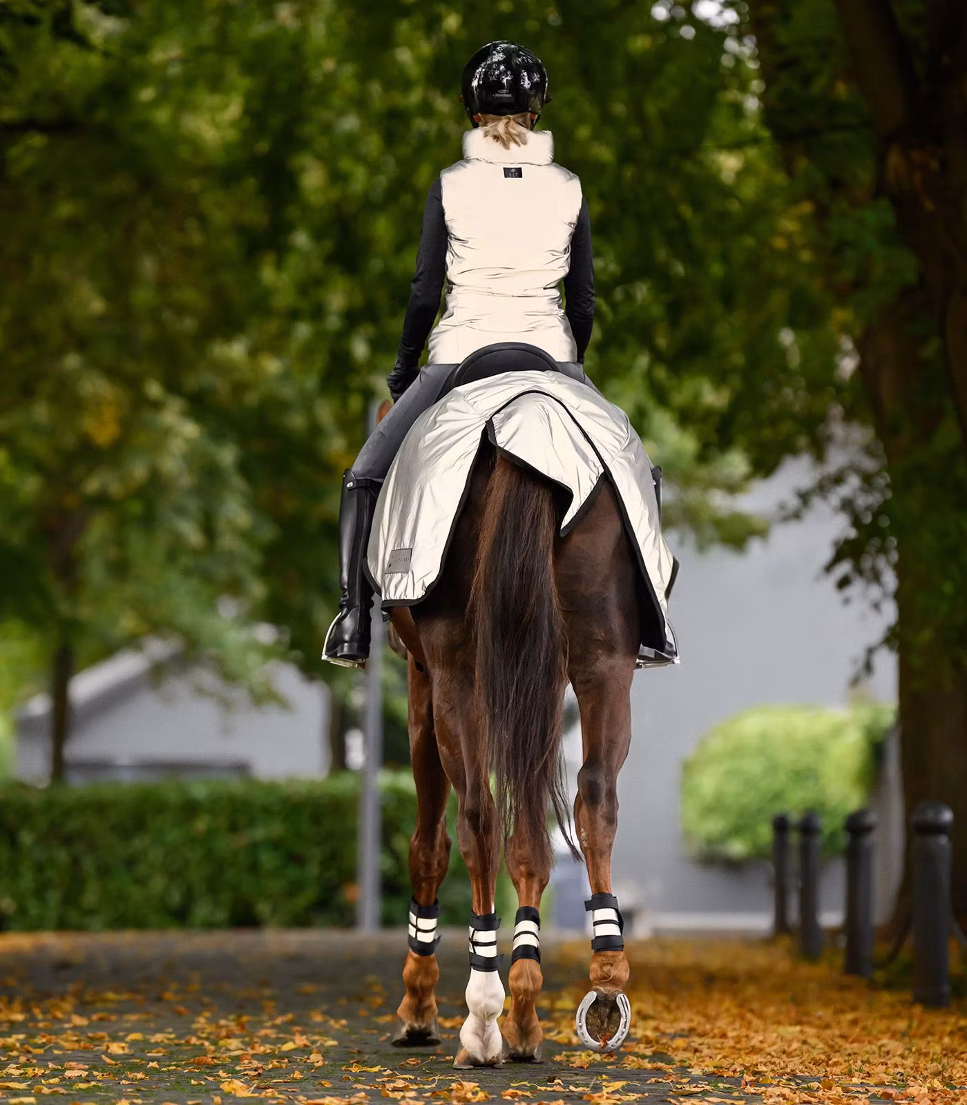 Waldhausen REFLEX Exercise Sheet