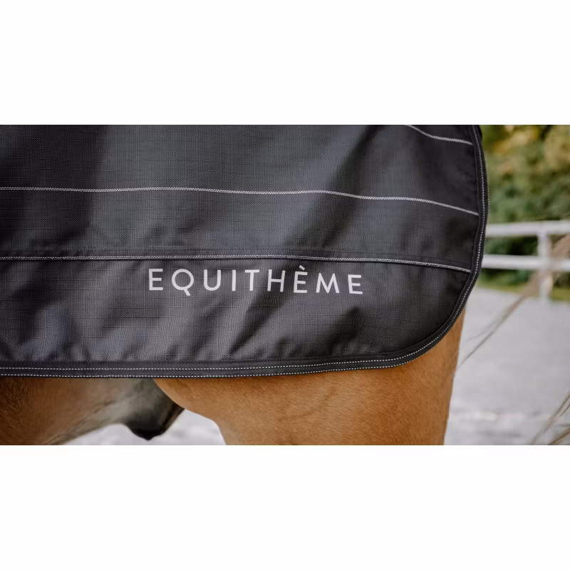 Eqiethème Exercise Sheet – Tyrex Lumin 600D