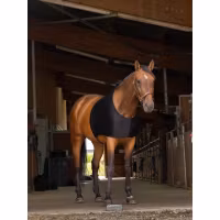 Equithème Shoulder Protection