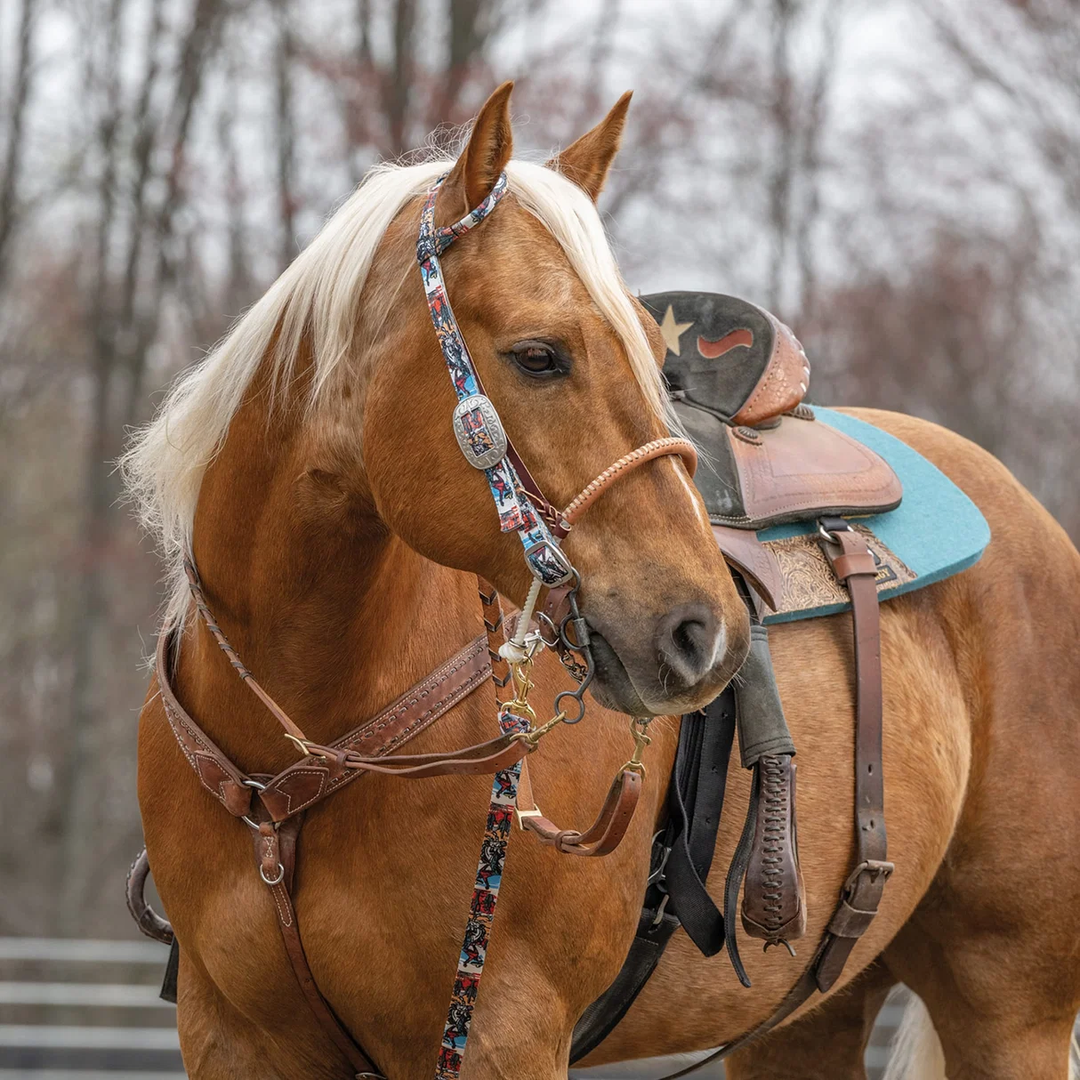 Patterned Poly Headstall Bucking Bronc