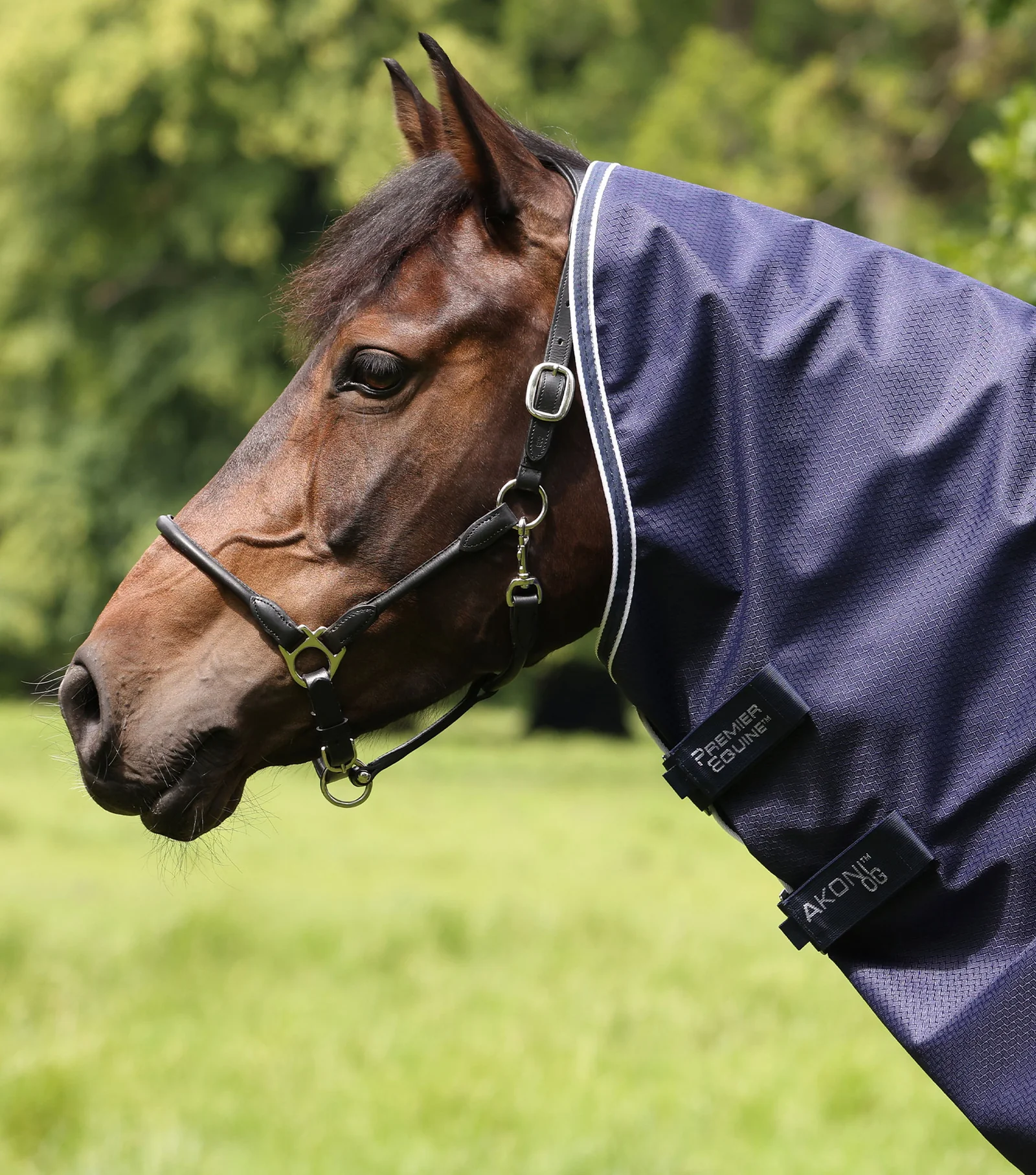 Premier Equine Akoni 0g Turnout Rug with Classic Neck Cover Navy