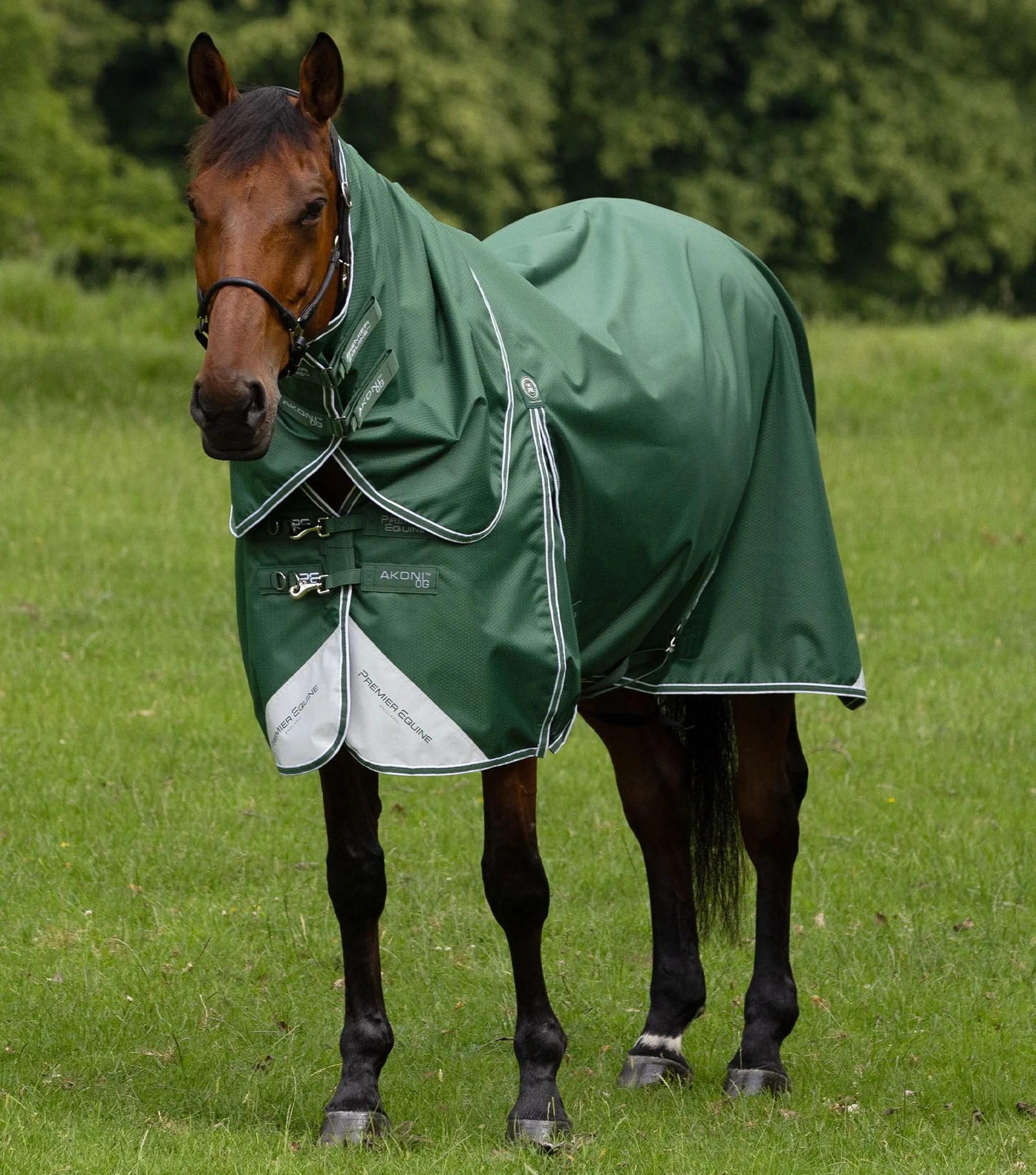 Premier Equine Akoni 0g Turnout Rug with Classic Neck Cover Green