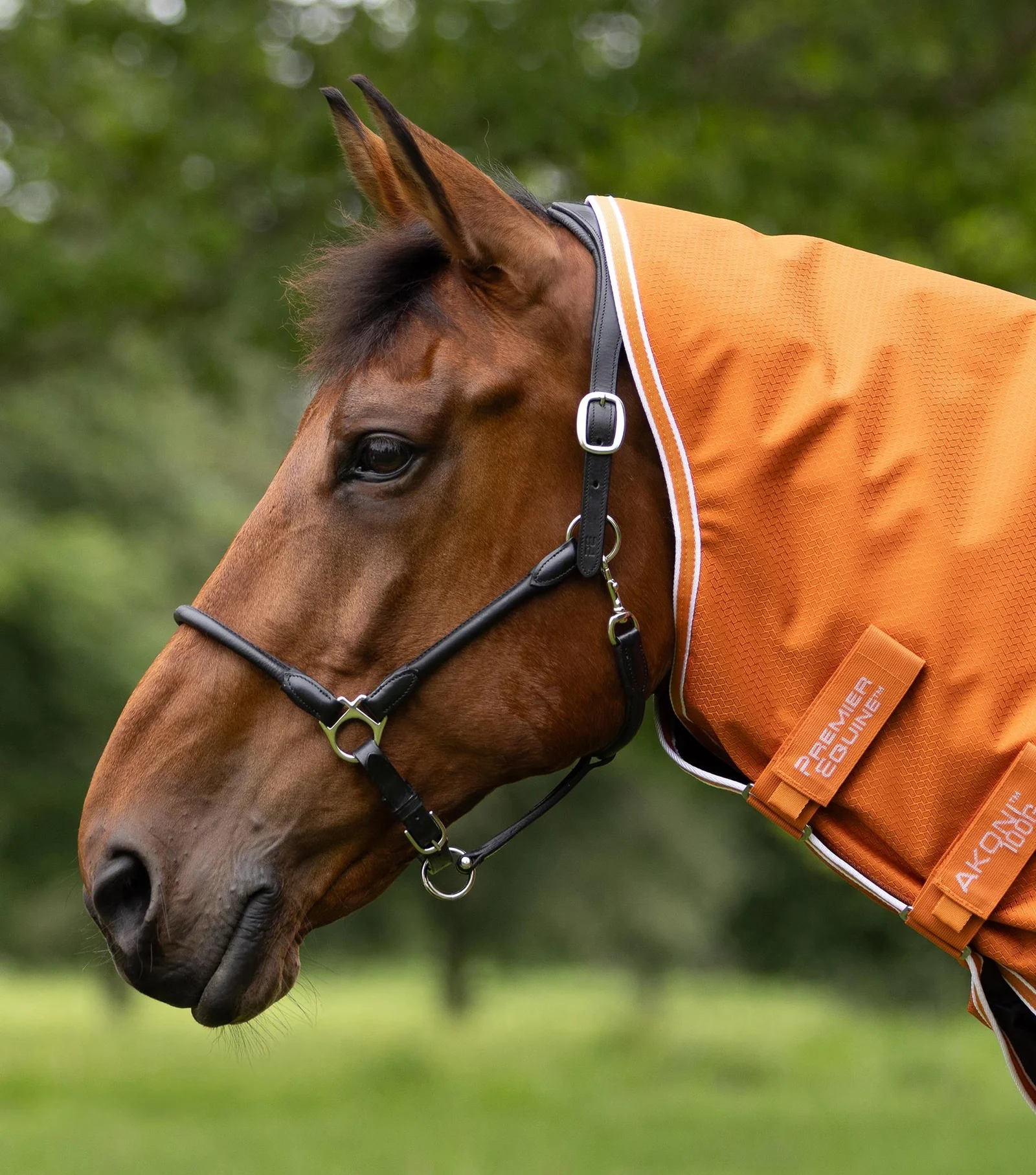 Premier Equine Akoni 100 g Turnout Rug With Classic Neck Cover Burnt Orange