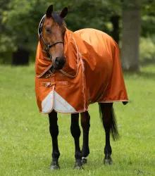 Premier Equine Akoni 100 g Turnout Rug With Classic Neck Cover Burnt Orange