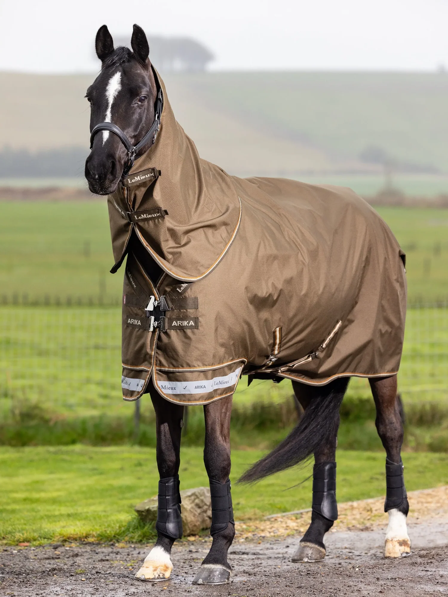 LeMieux Core Arika Ripstop Turnout Rug 50 g Alpine