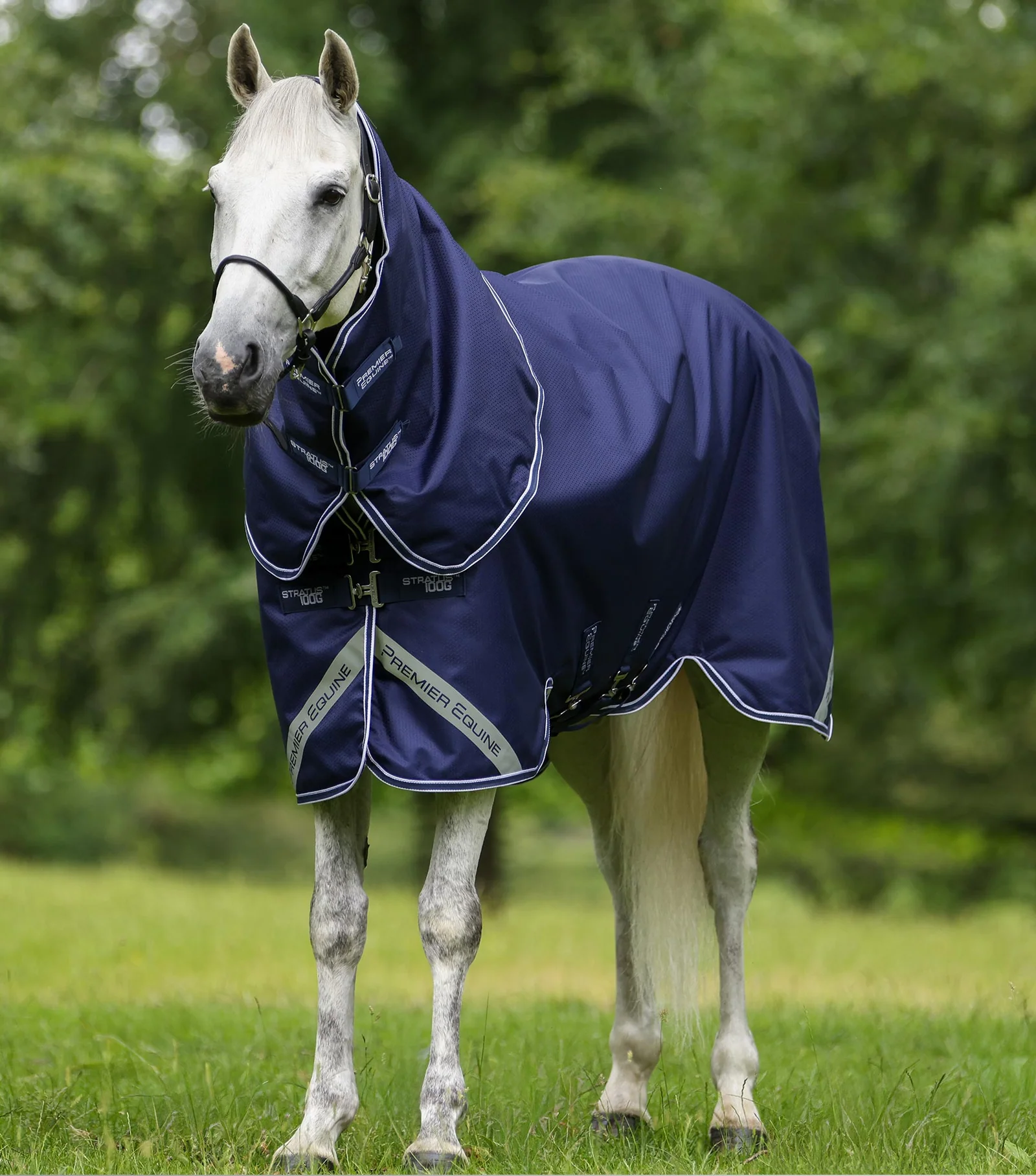 Stratus 600D Series 100g Turnout Rug with Classic Neck Cover Navy