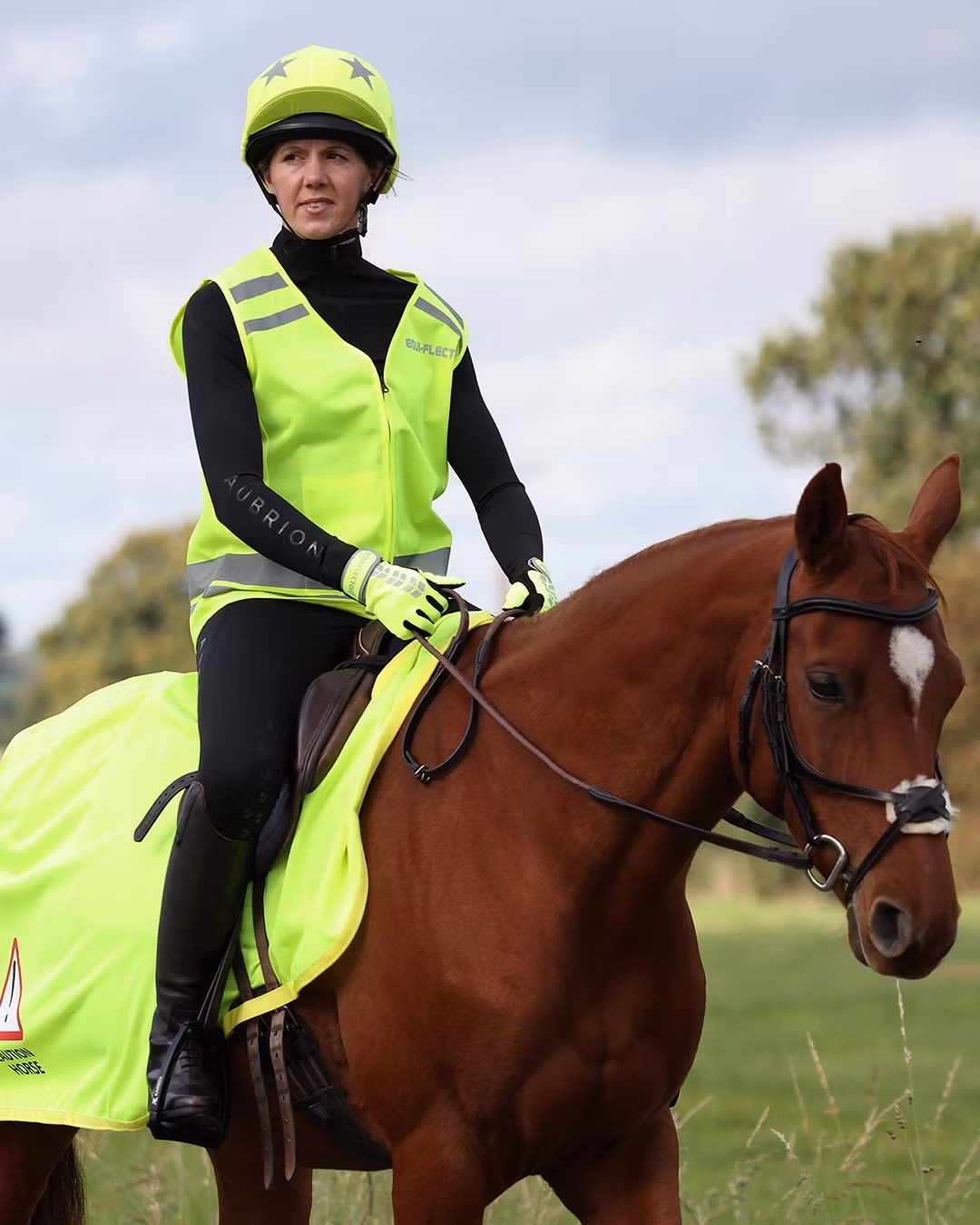 Nordic Western Tack Co