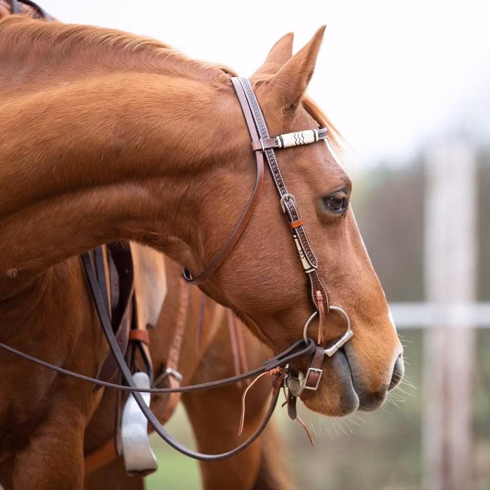 Nordic Western Tack Co