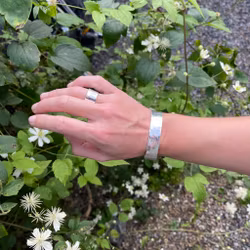 HAMRAT STELT ARMBAND, MELLAN