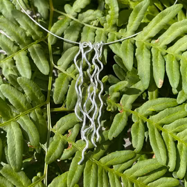 HALSBAND VATTENFALL