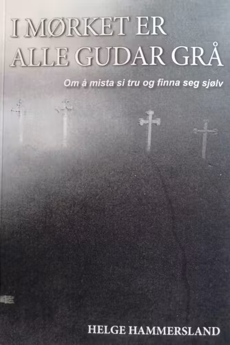 I mørket er alle gudar grå (pocket)