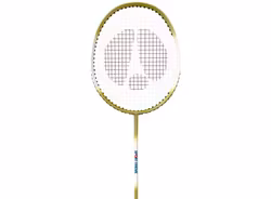 Badmintonrack Skola Competition