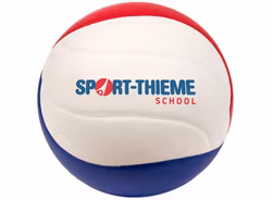 Volleyboll School | Strl. 5