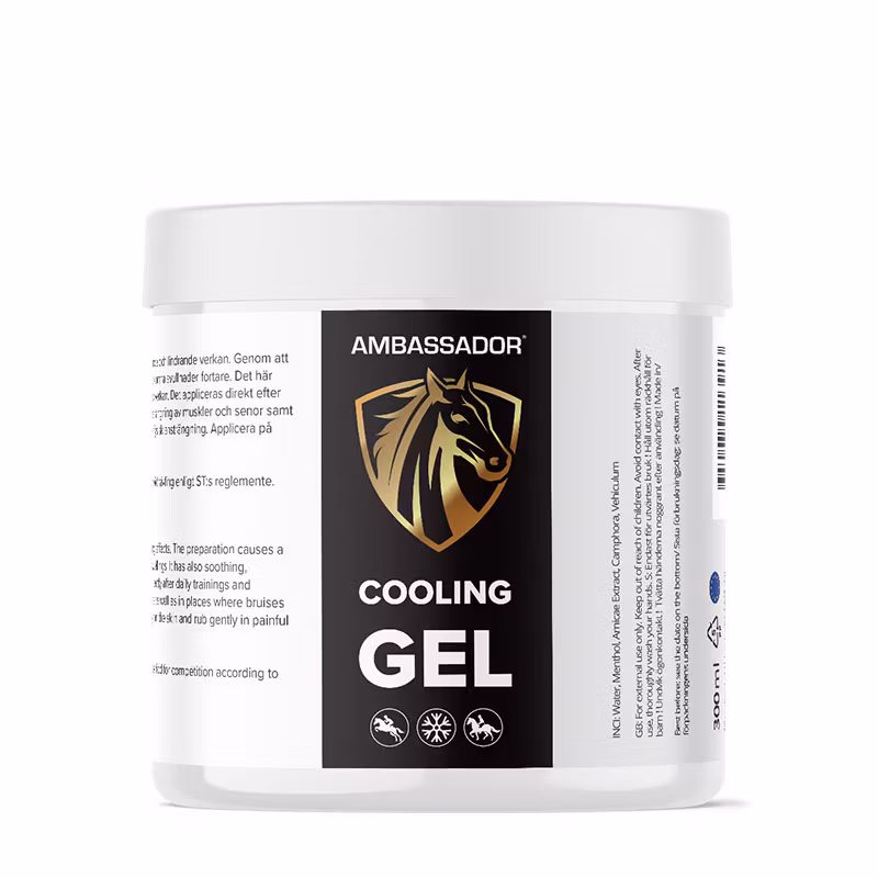 Kylande Gel (300ml)