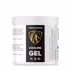 Kylande Gel (300ml)