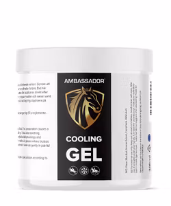 Kylande Gel (300ml)