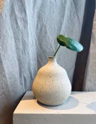 Vas Päron