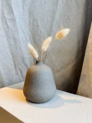 Vas Päron