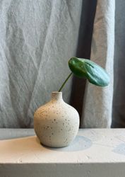 Vas Äpple