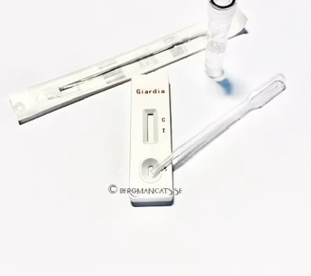 Giardia Test 1-pack