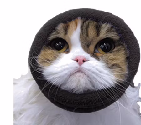 HAPPY HOODIE Öronskydd 1-pack XS Rosa