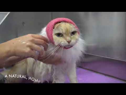 HAPPY HOODIE Öronskydd 1-pack XS Rosa