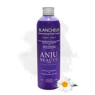 BLANCHEUR SCHAMPO