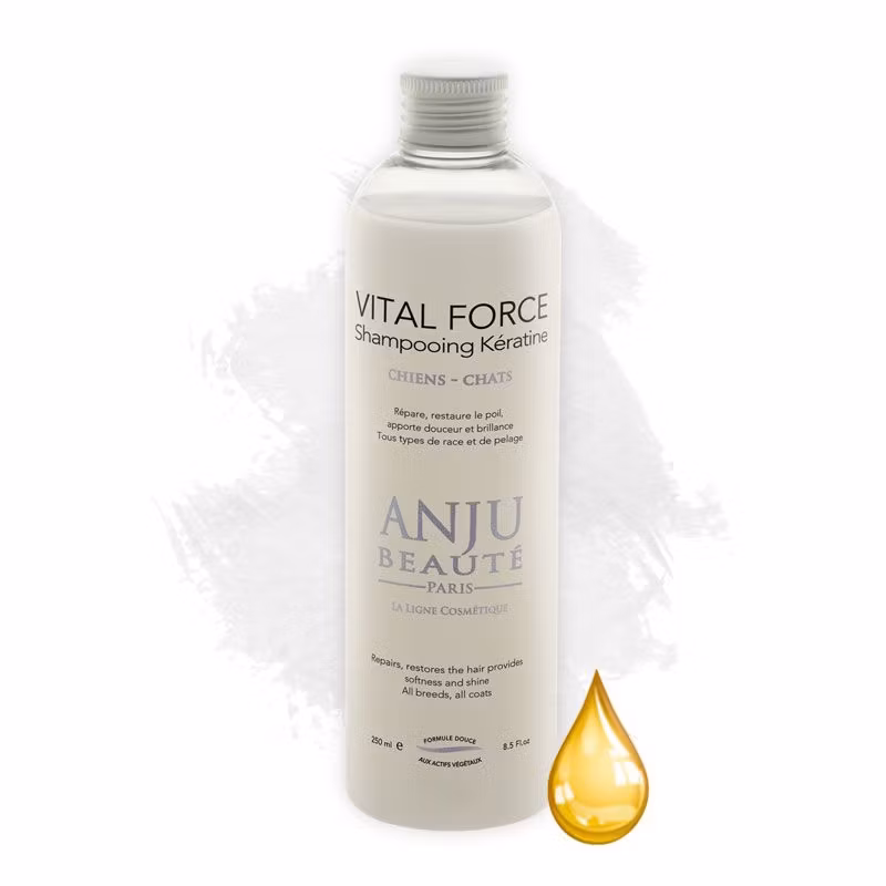 VITAL FORCE SCHAMPO