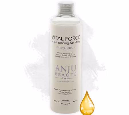 VITAL FORCE SCHAMPO