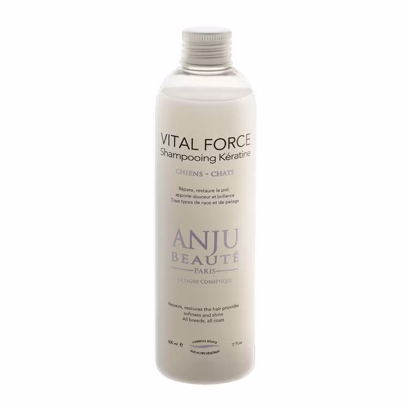 VITAL FORCE SCHAMPO