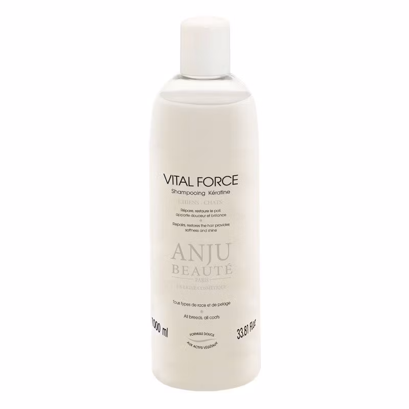 VITAL FORCE SCHAMPO