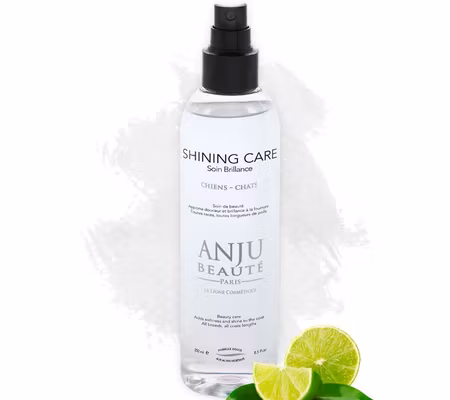 SHINING LOTION SPRAY