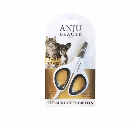Anju Klotång