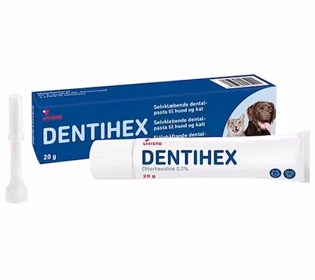 DENTIHEX Tandpasta 20 gram
