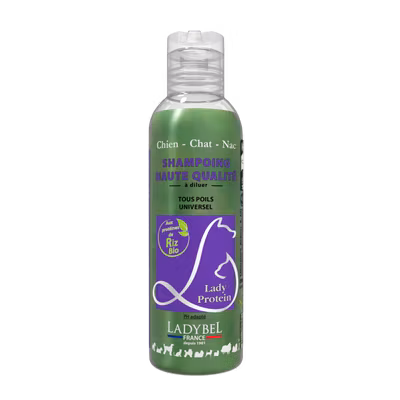 Lady Protein - Näring och Glans - Schampo 200 ml