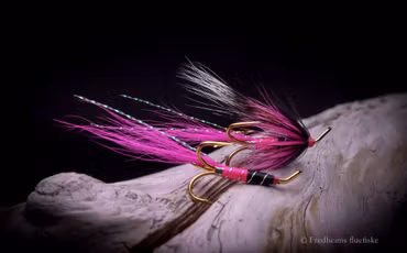 Ally's Shrimp rosa/sort treble