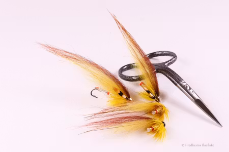 Banana fly