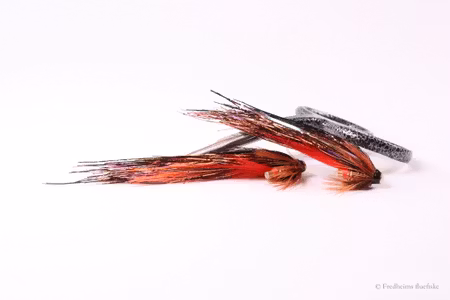 Brown Flash Wing