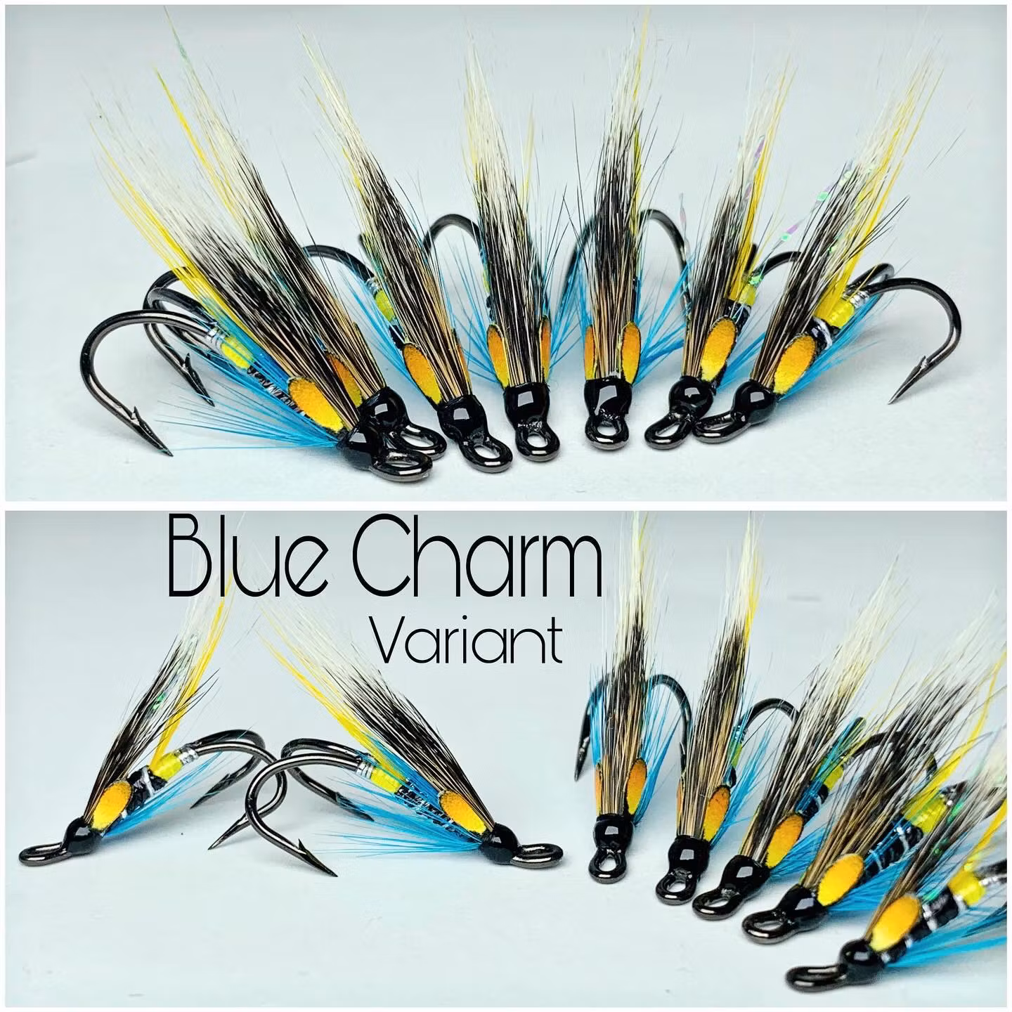 BLUE CHARM - variant - Kvalitetsfluer