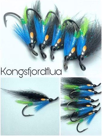 Kongsfjordflua - krokvarianter