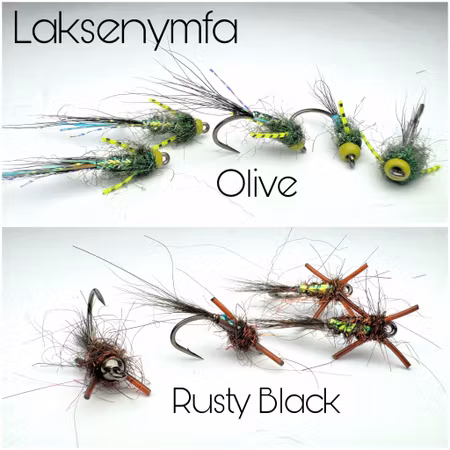 - LAKSENYMFER -