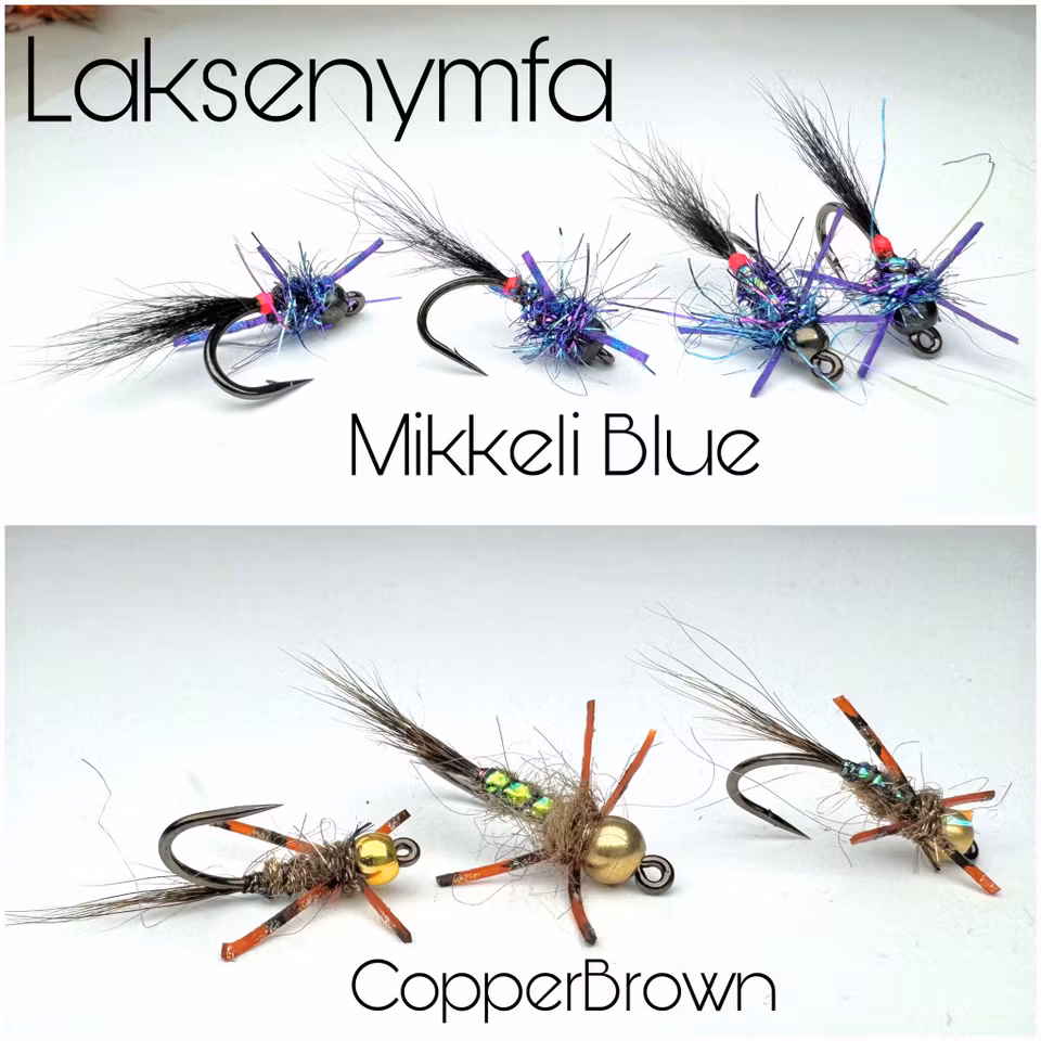 - LAKSENYMFER -