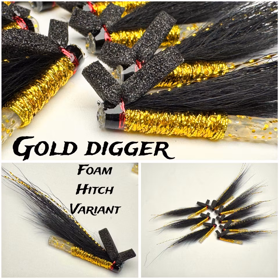 GOLD DIGGER - Hitch