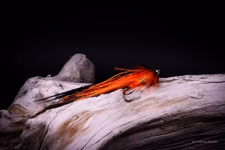 Orange - Flash Wing
