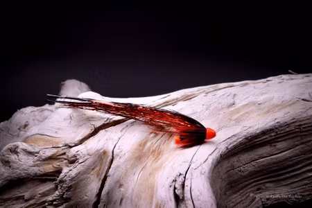 Red and black - Flash wing