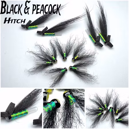 Black Peacock - Hitch