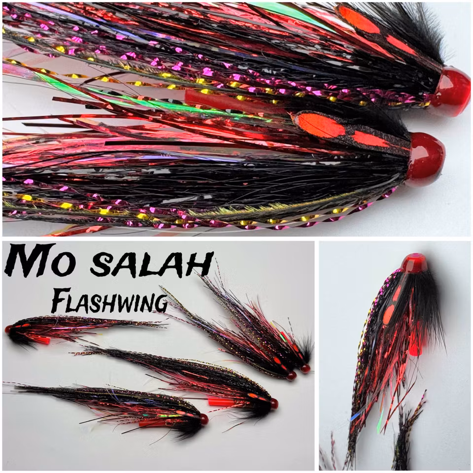 Mo Salah - Flashwing og hårvingevarianter