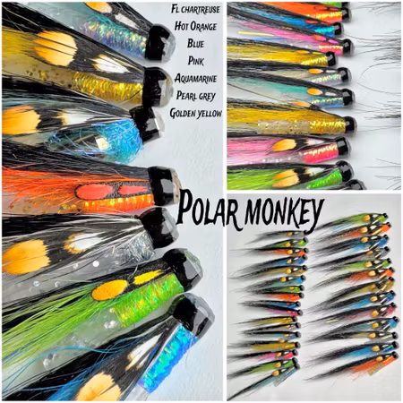 POLAR MONKEY